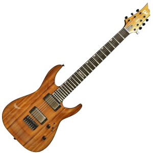 ESP LTD TE-417 Guitar Image