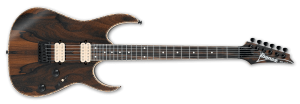 RG Series Guitar Example Image