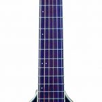 Washburn Steel String Guitar Image