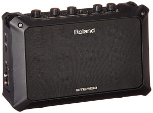 Roland Portable Acoustic Amp