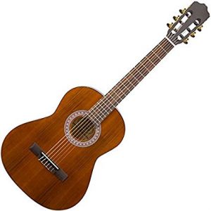 nylon string guitar