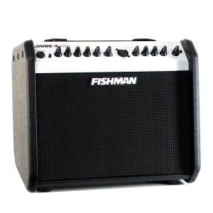 Fishman Loudbox Mini